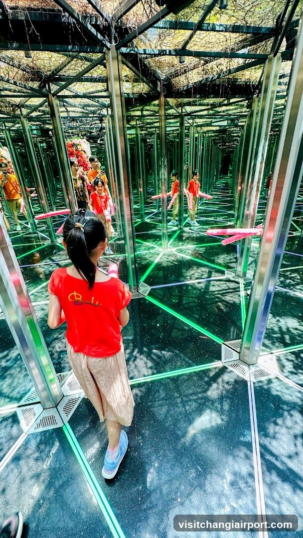 Mirror Maze with Children