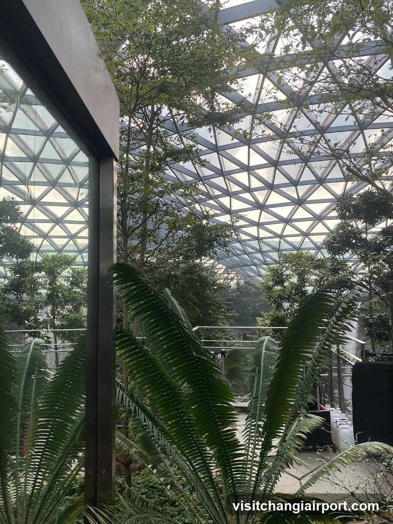 Indoor Garden View