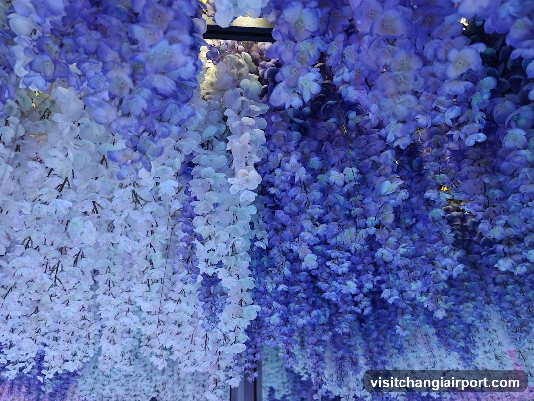 Hanging Wisteria Flowers Display