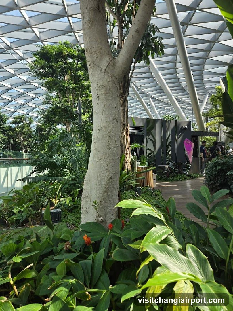 Indoor Garden Scene