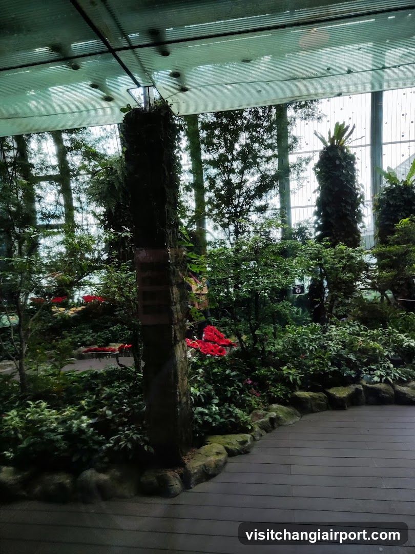 Indoor Garden Scene