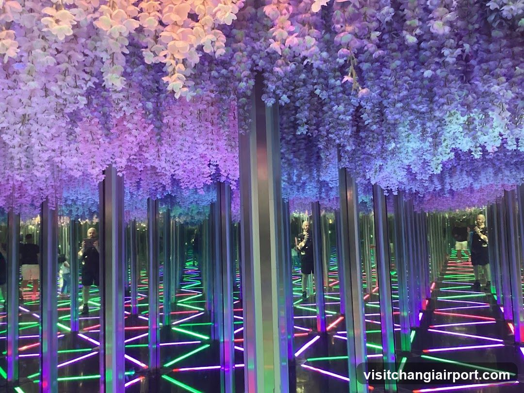 Mimosa Flower Tunnel with Neon Floor