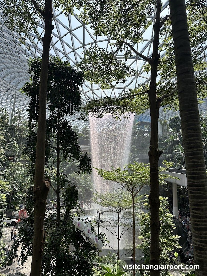 Indoor Waterfall Scene