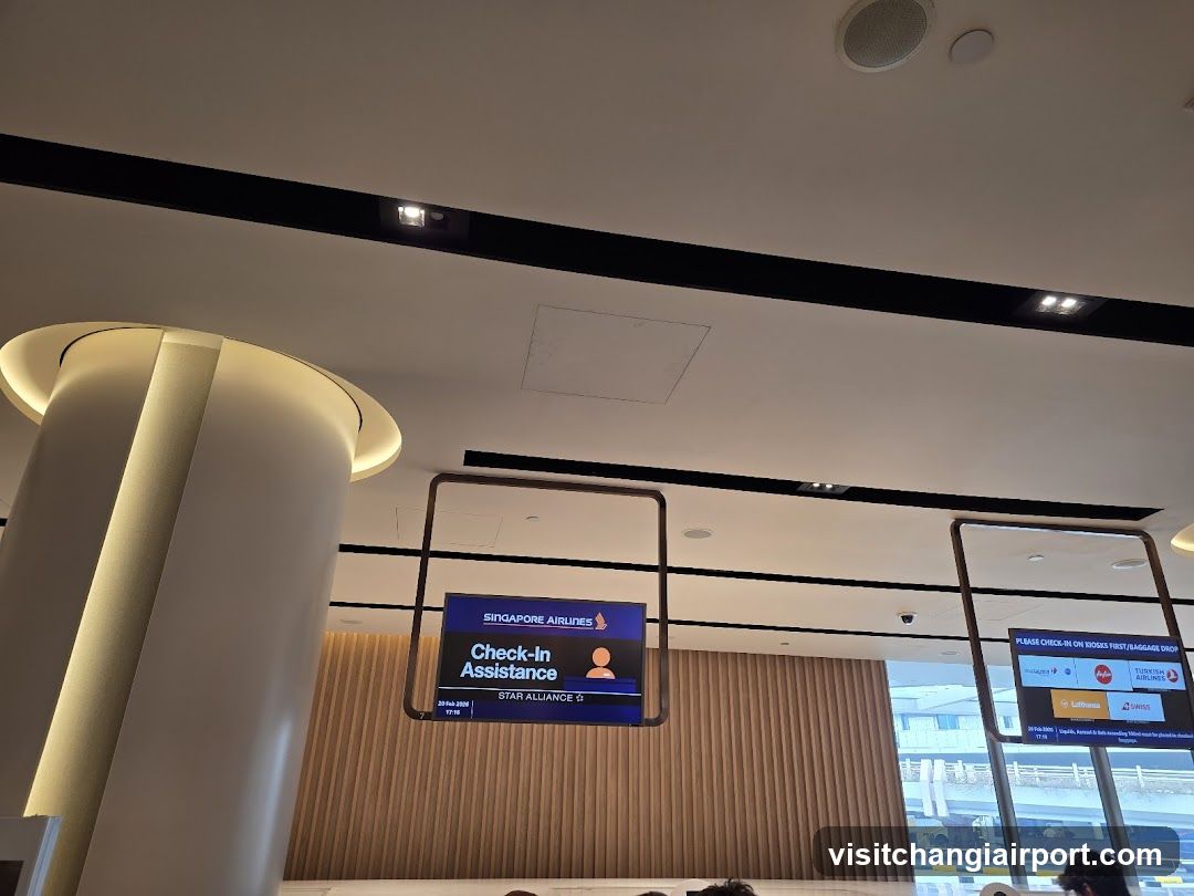 Airport Check-In Area