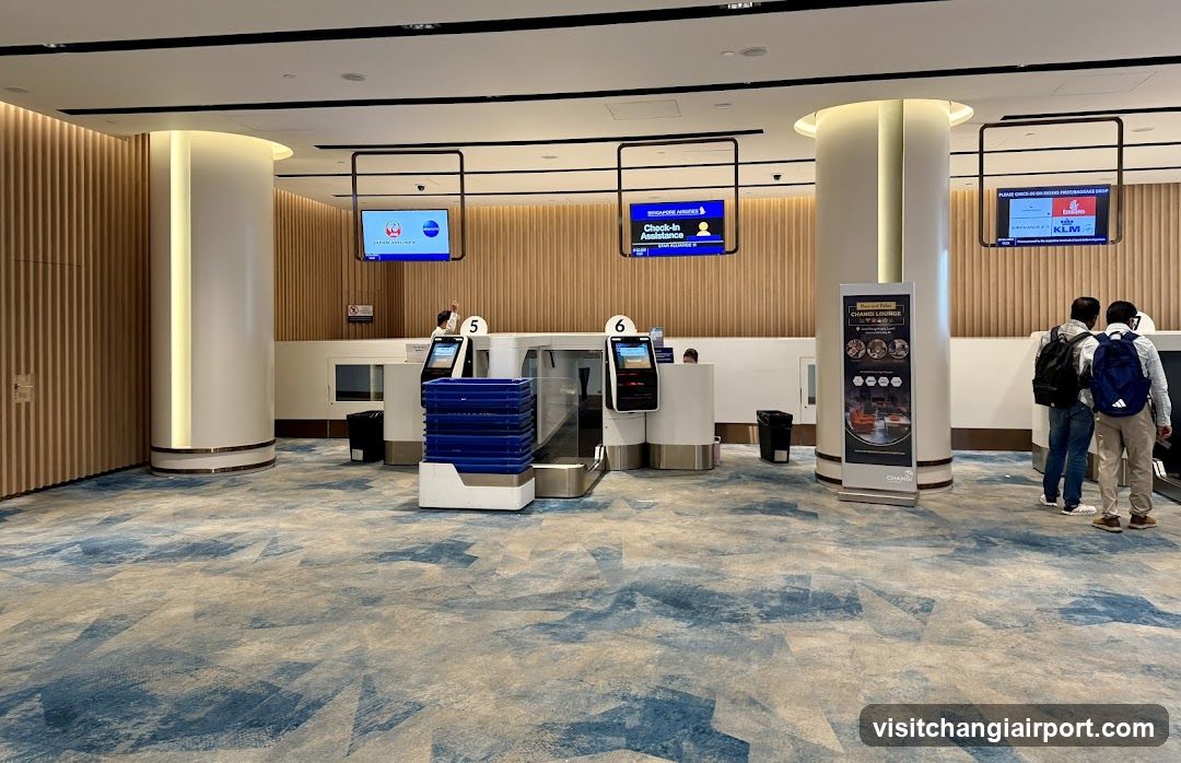 Airport Check-in Area