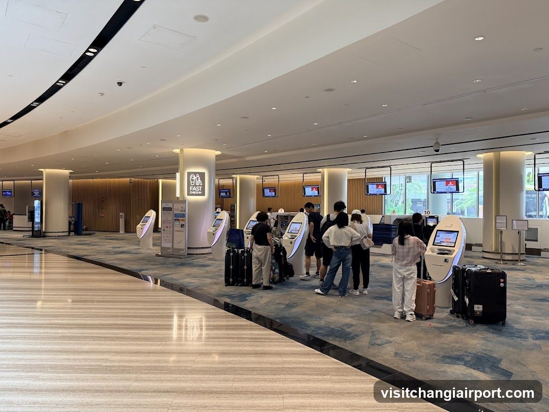 Airport Self-Service Check-in Area