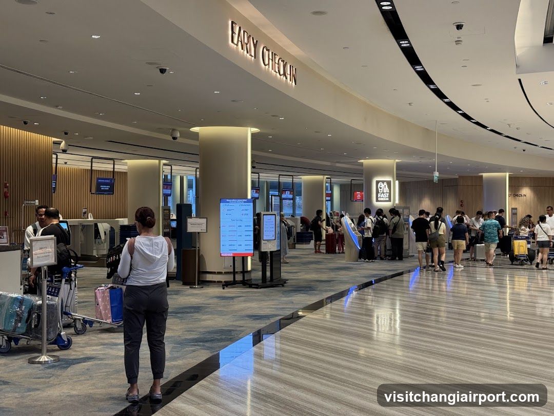 Airport Check-in Area