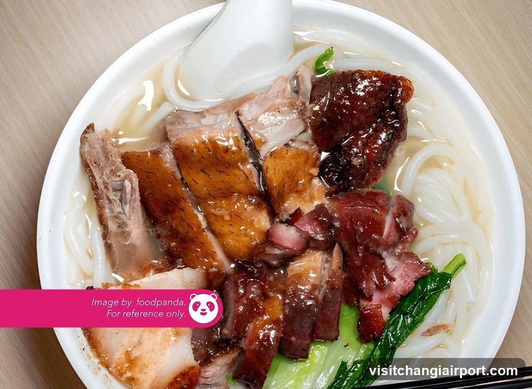 Roast Meat Noodle Bowl