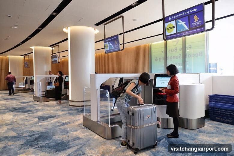 Airport Bag Drop Area