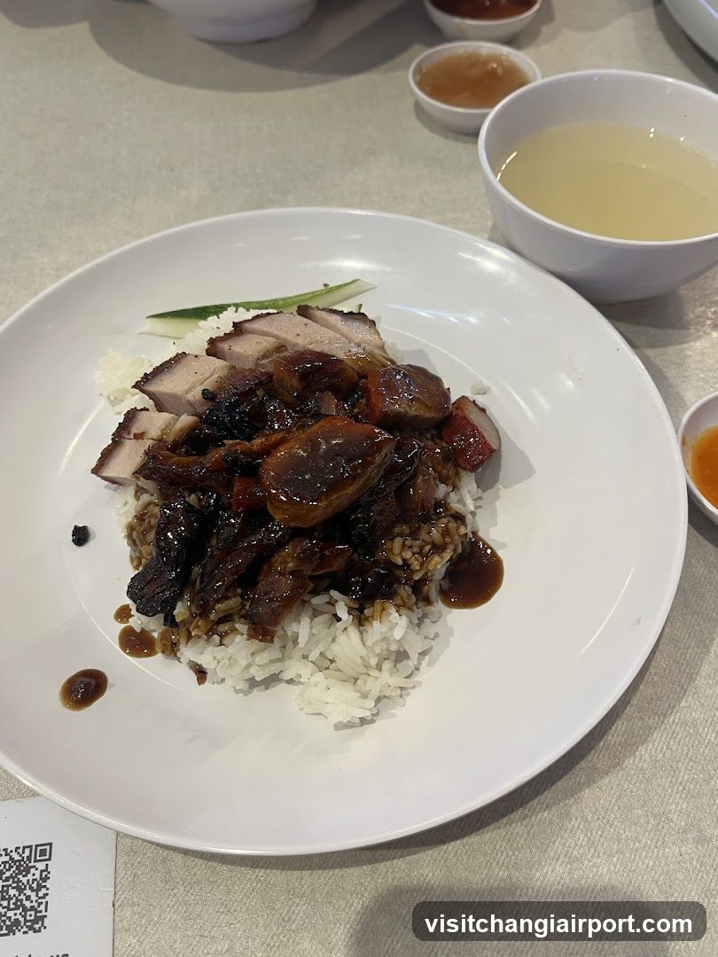 Roast Meat Rice Plate