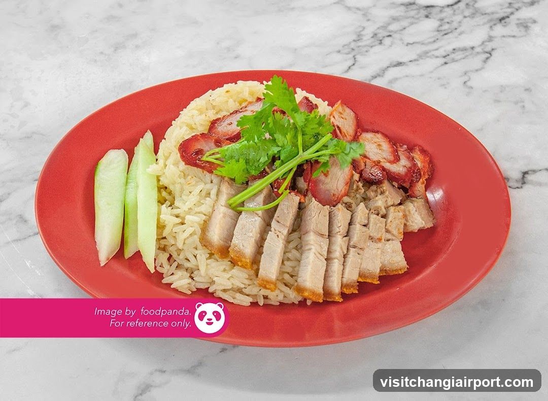 Plate of Rice with Roast Meat and Cucumber