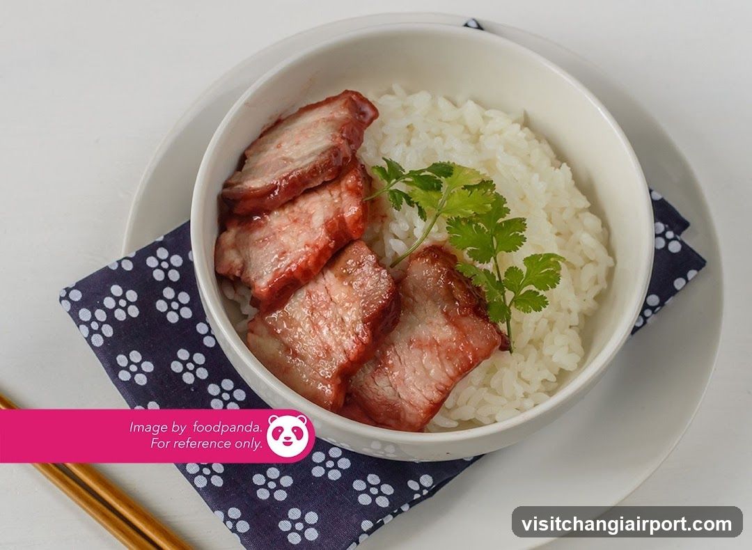 Braised Pork with Rice