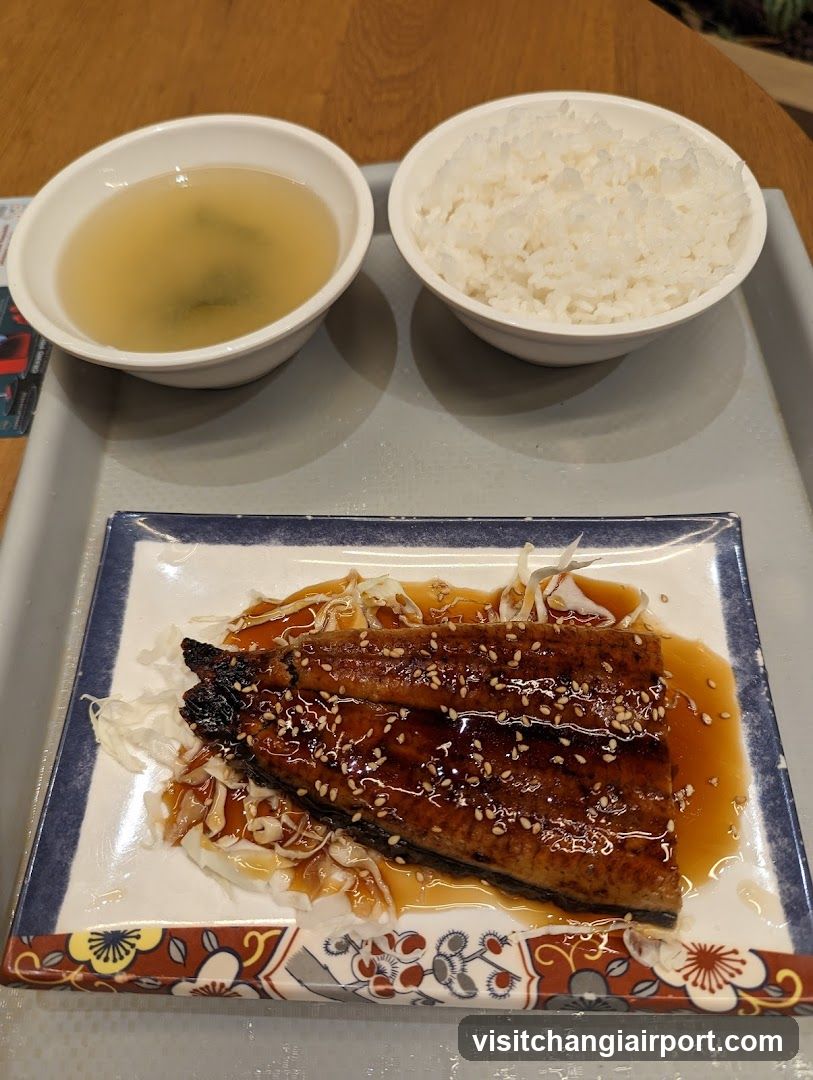 Eel Rice Bowl Meal