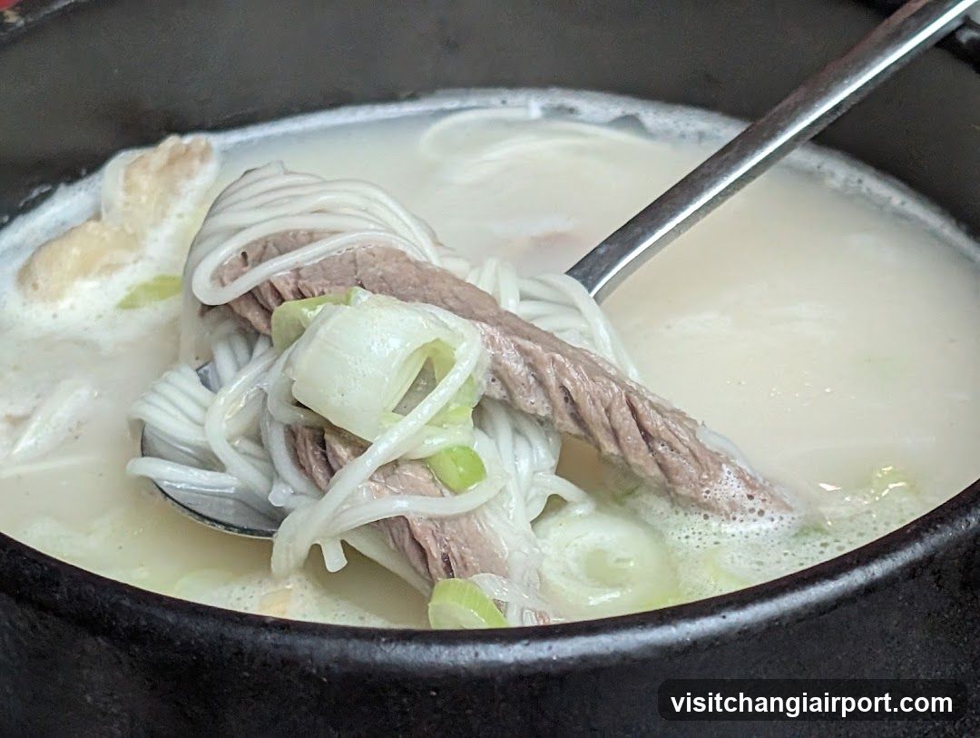 Noodle Soup with Meat and Scallions