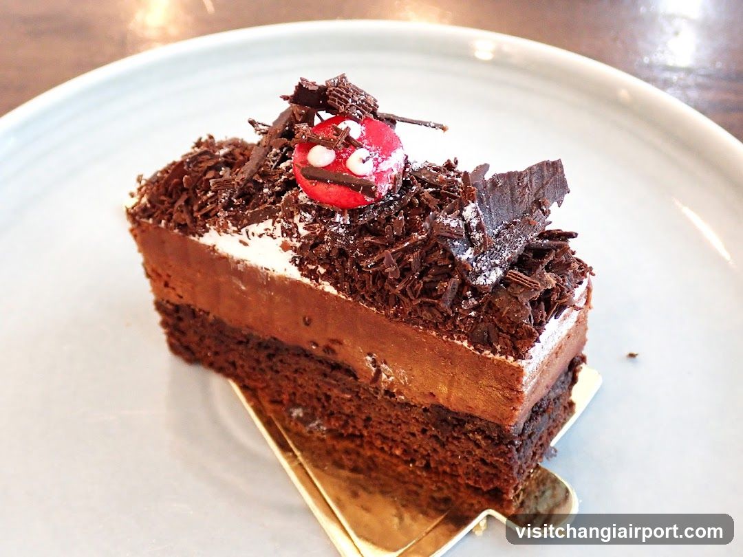 Chocolate Cake with Cherry Topping