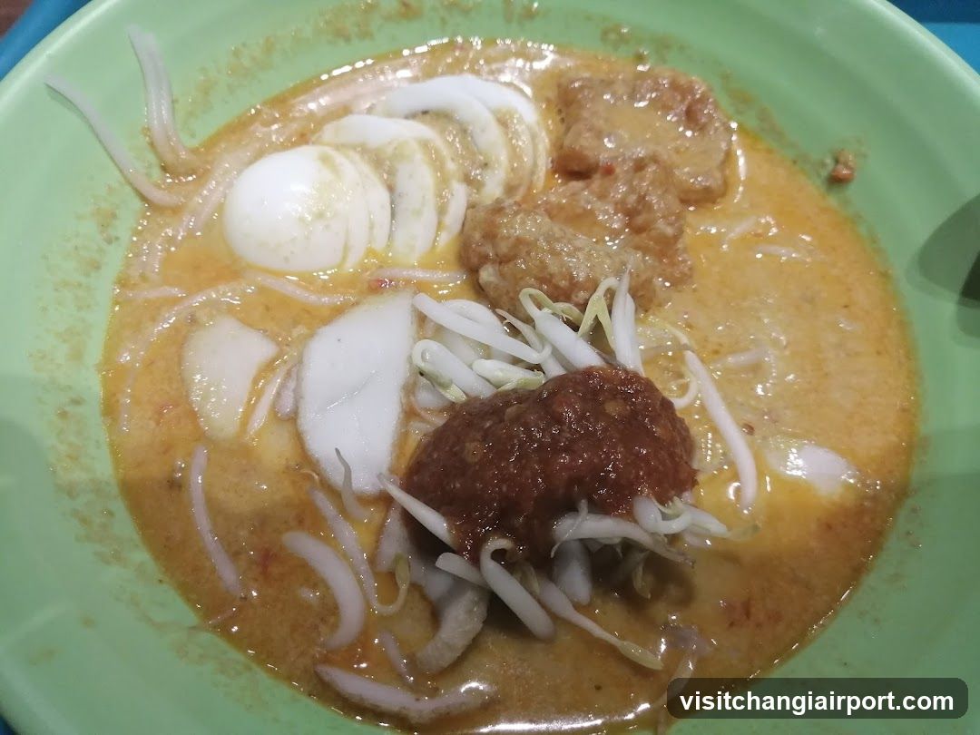 Curry Noodle Bowl with Egg and Meatballs
