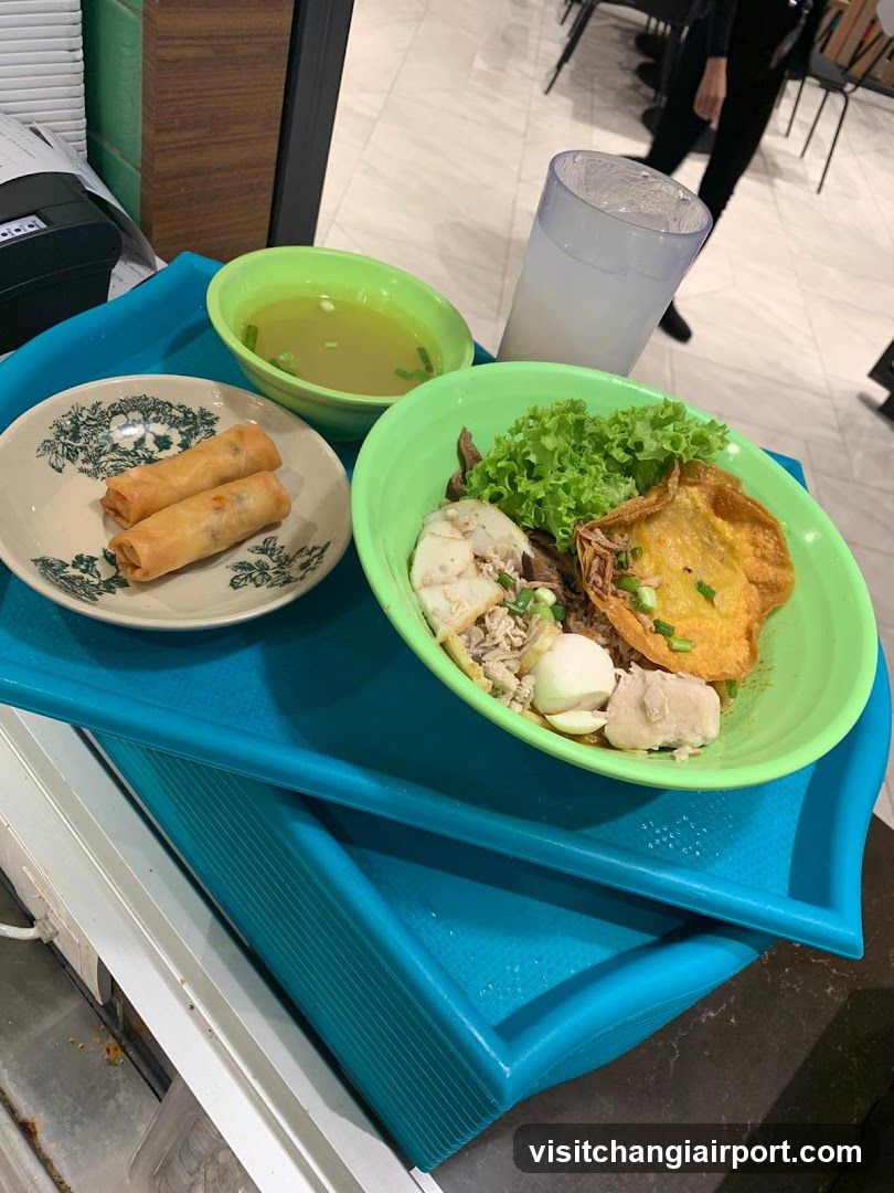 Noodle Bowl with Spring Rolls