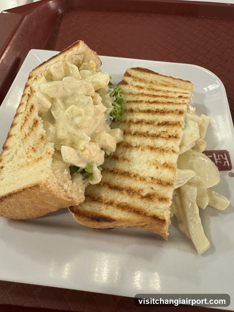 Grilled Sandwich with Salad
