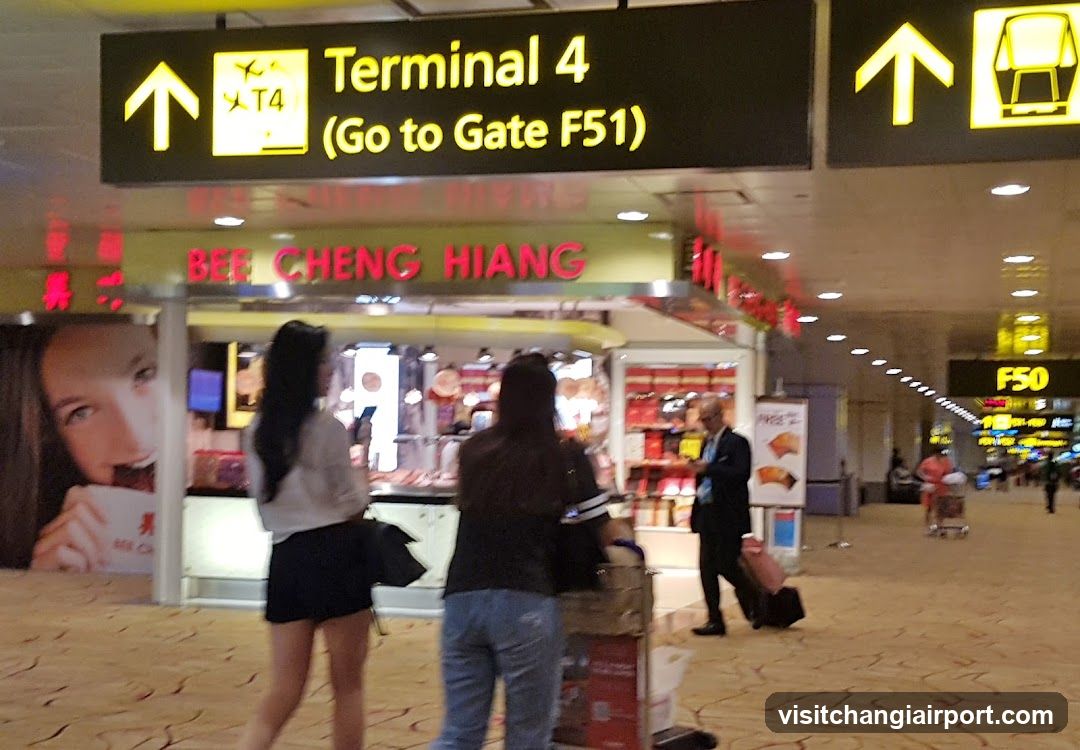 Airport Terminal 4 Scene