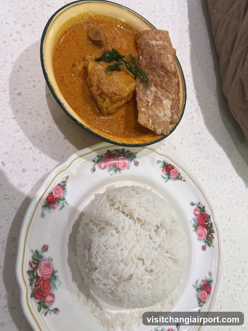 Curry Dish with Rice
