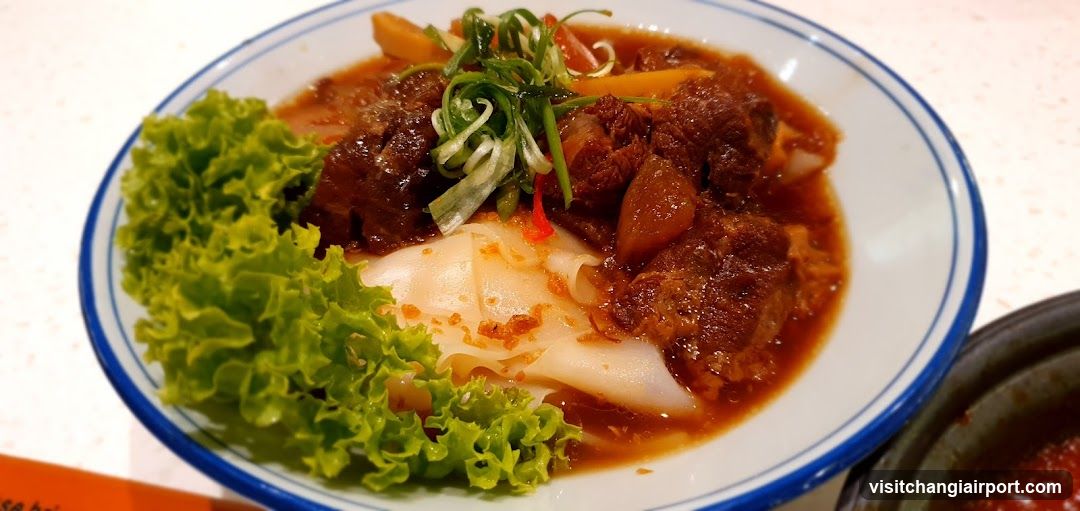 Braised Beef Noodles with Lettuce Garnish