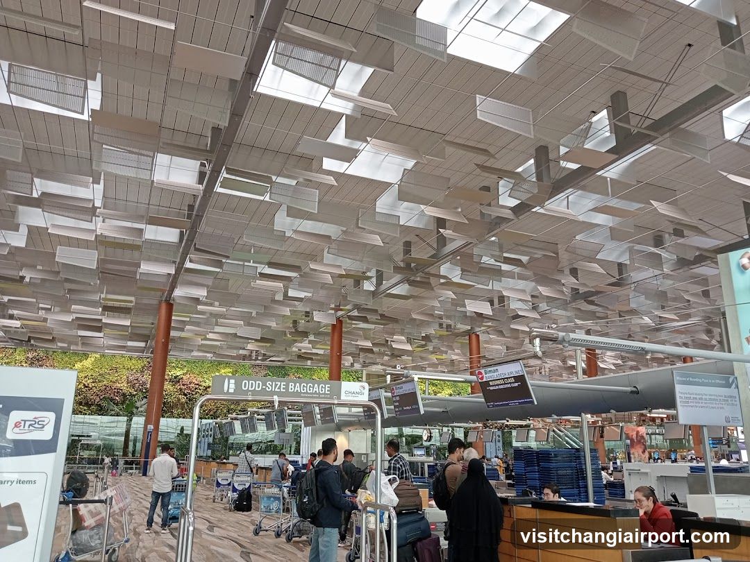 Airport Baggage Drop Area