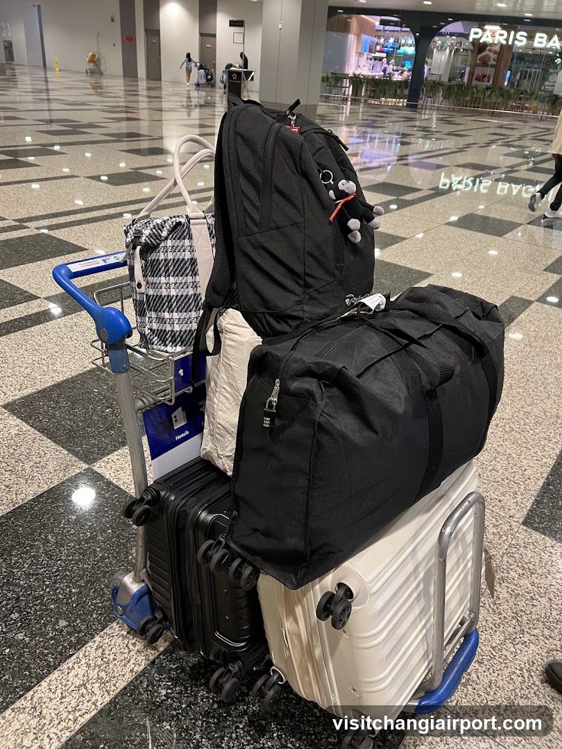 Airport Terminal Interior with Luggage Cart