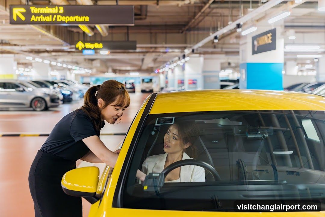 Taxi Driver Assisting Passenger at Airport Terminal