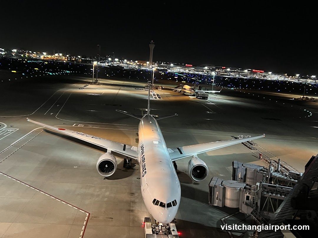 Nighttime Airport Tarmac View