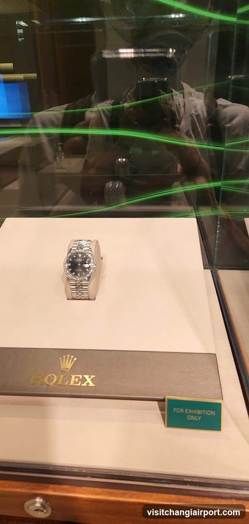 Rolex Watch Display