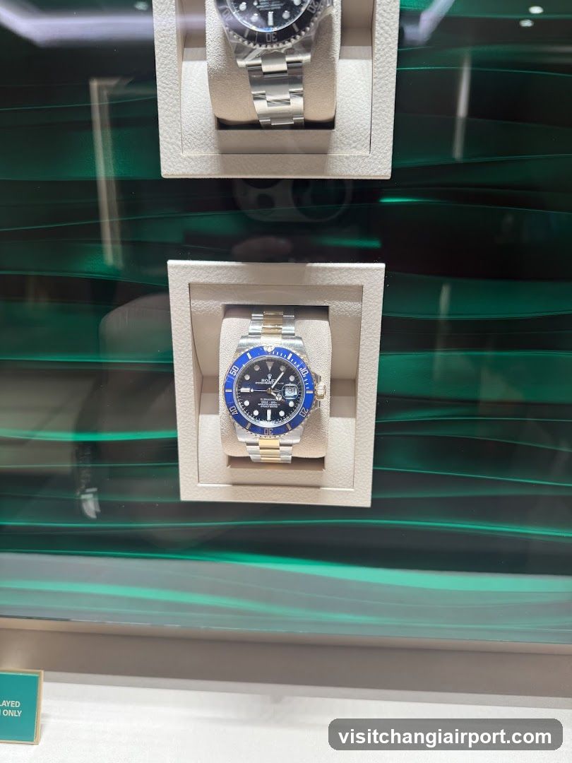 Watch Display Case