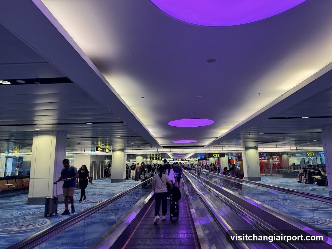 Changi T1 Viewing Mall L3