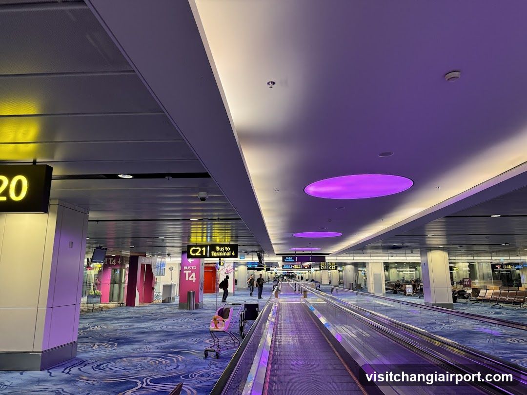 Airport Terminal Interior