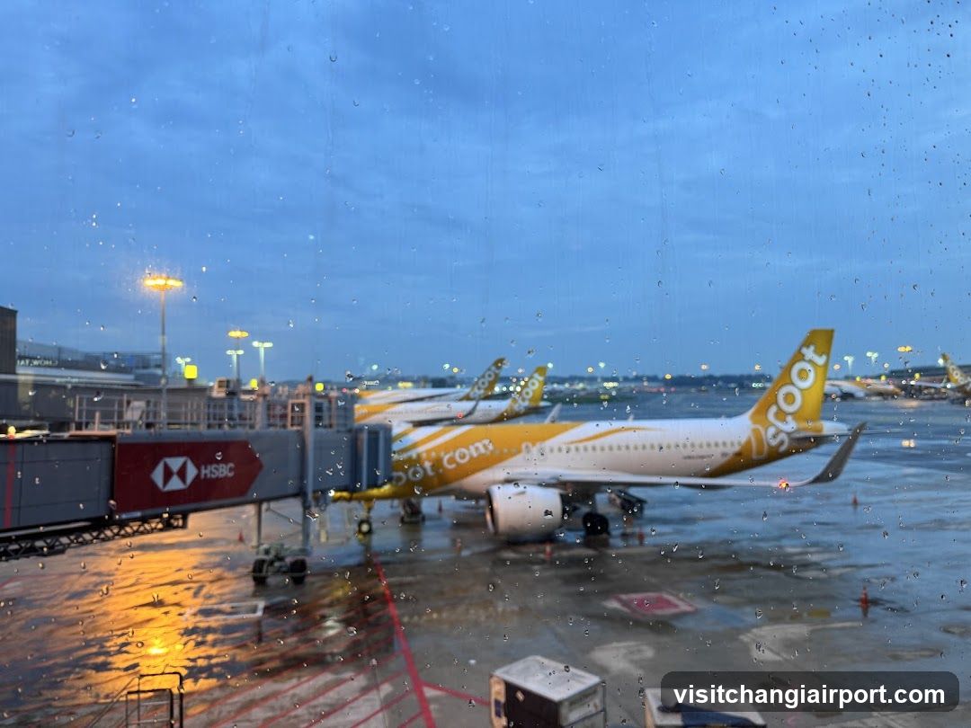 Airport Tarmac View Through Rain-Smudged Window