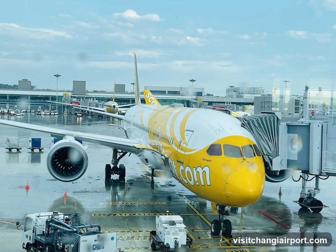 Airplane at Airport Gate