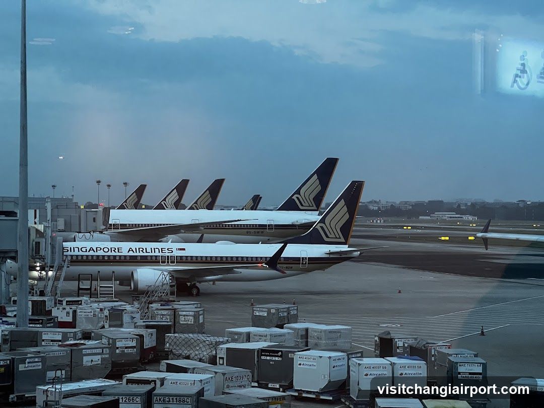Singapore Airlines at Airport Terminal