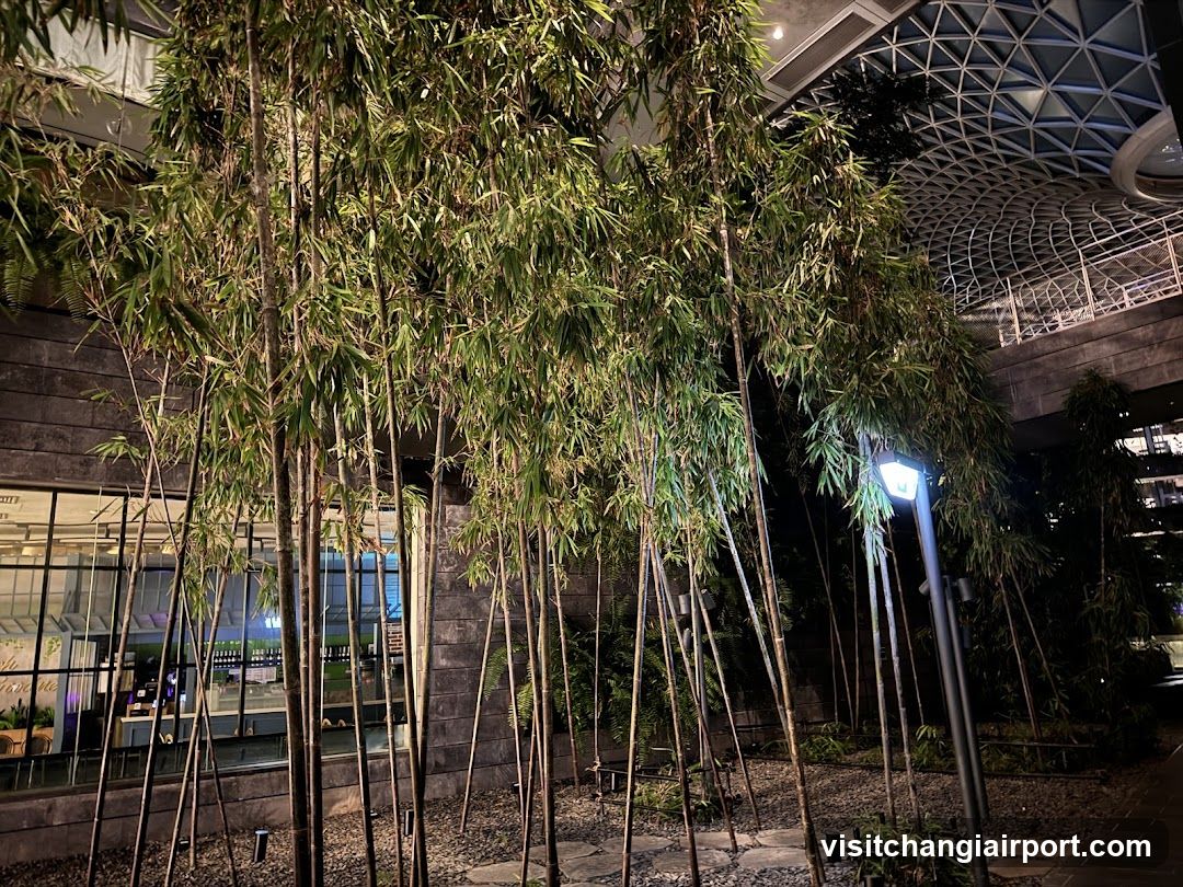Bamboo Garden at Night