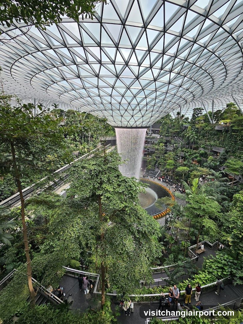 Indoor Waterfall Garden