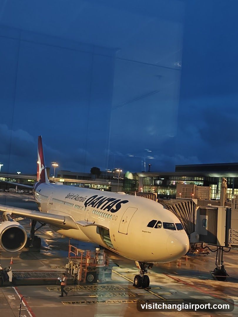 Qantas Aircraft at Airport Terminal