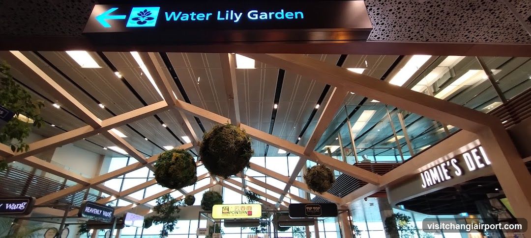 Water Lily Garden Interior View