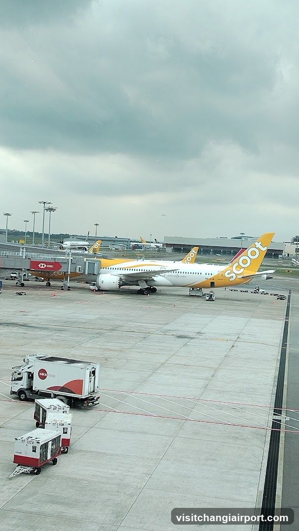Airport Tarmac View