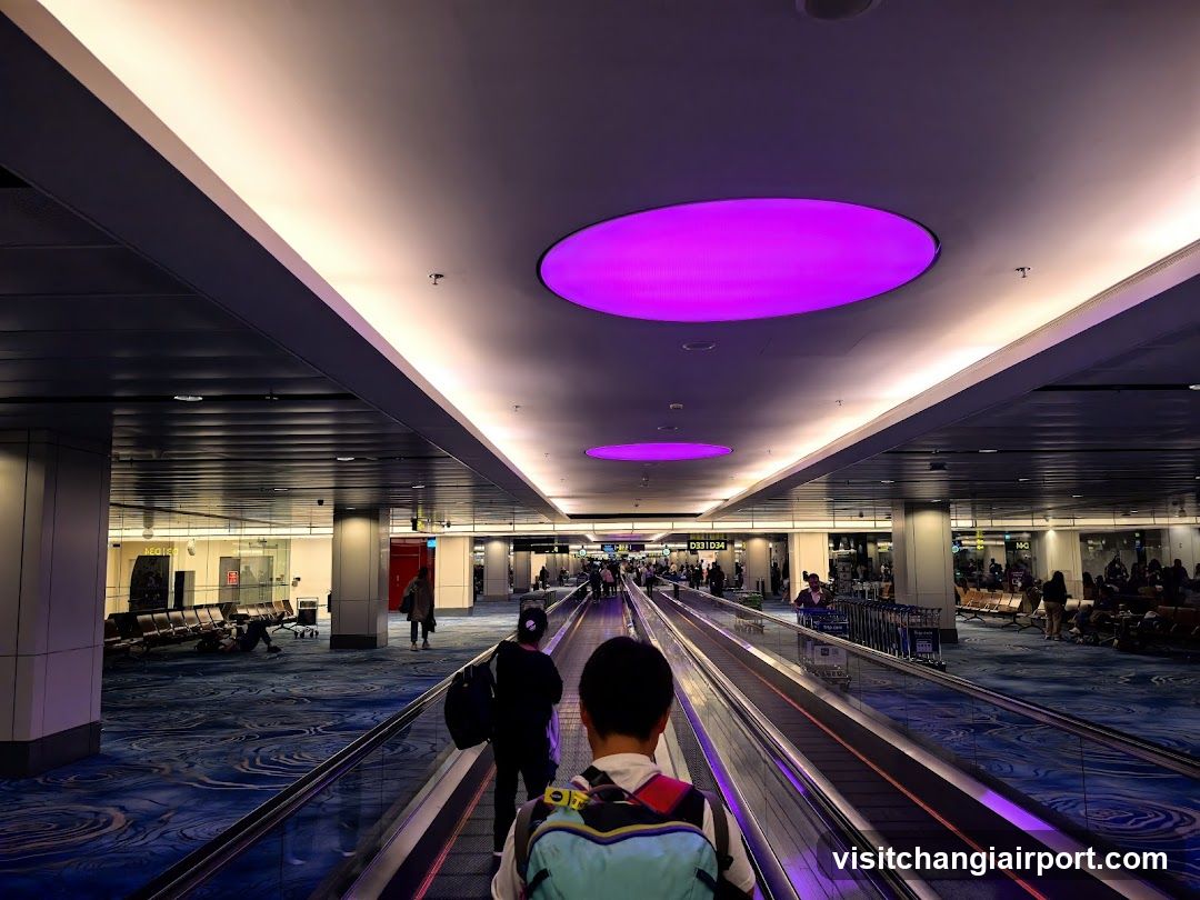 Airport Terminal Interior with Moving Walkway