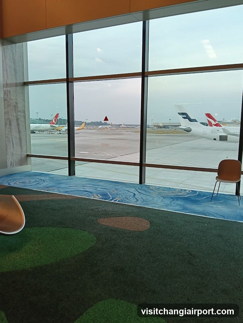 Airport Terminal View