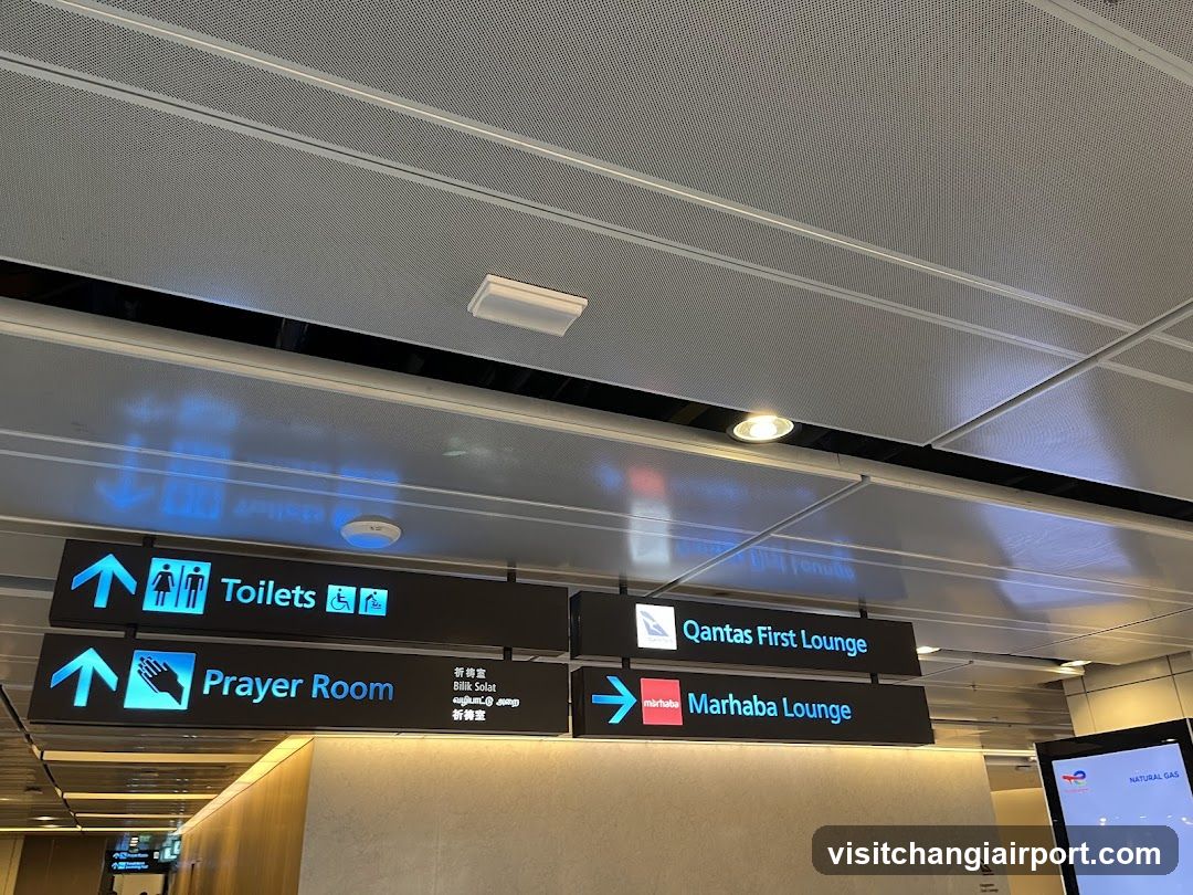 Airport Directional Signage