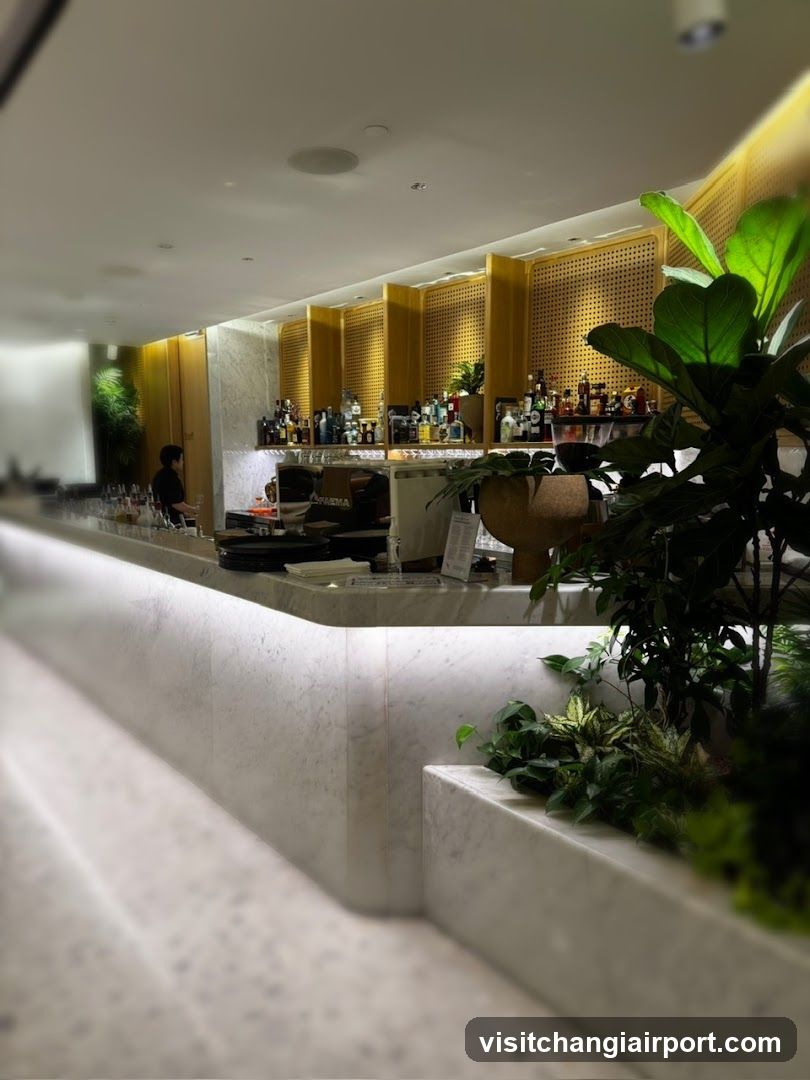 Modern Bar Interior