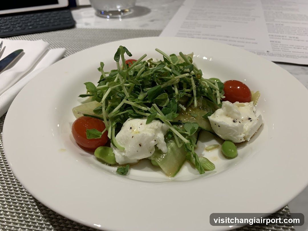 Salad with Microgreens and Burrata
