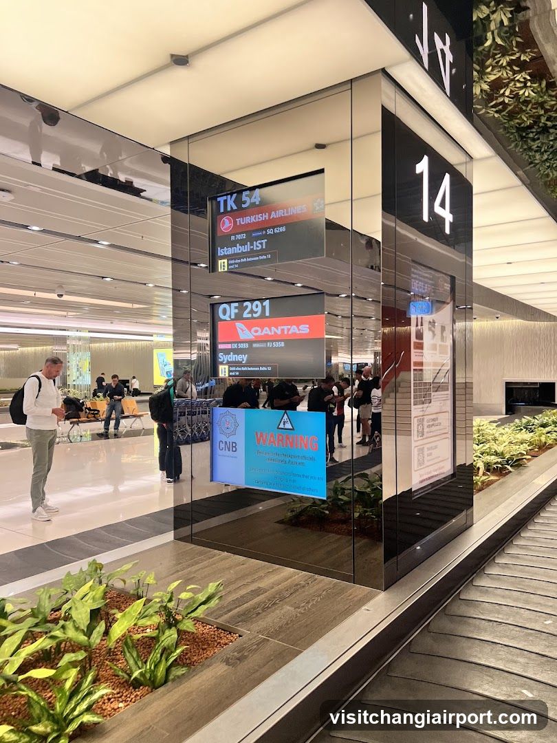 Airport Terminal Gate Area