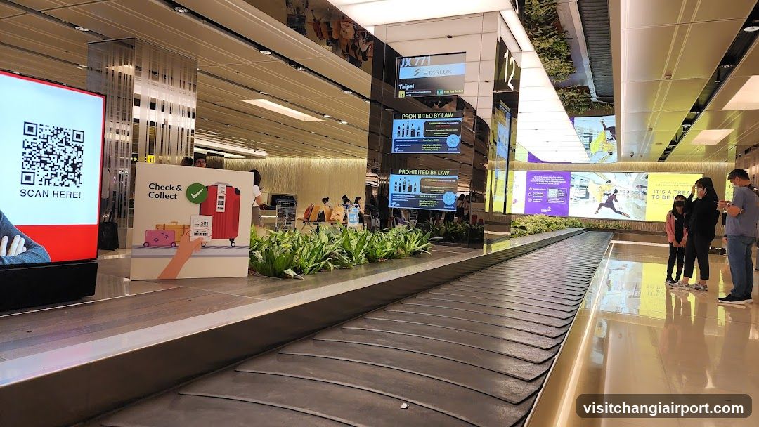 Airport Baggage Claim Area