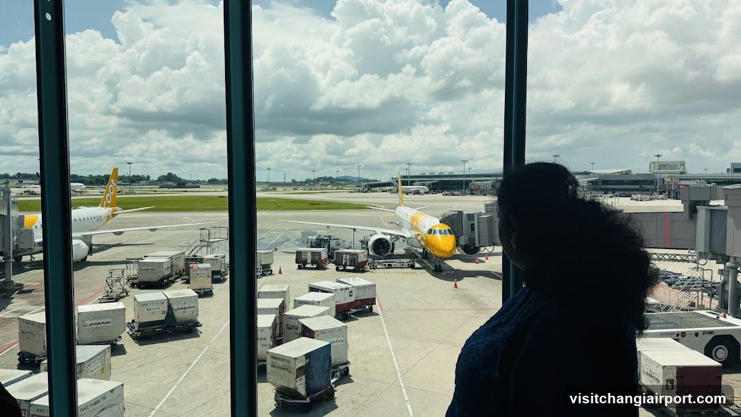 Airport Terminal View