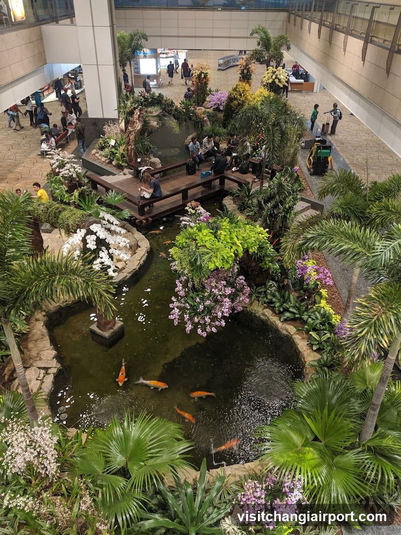 Indoor Garden with Koi Pond